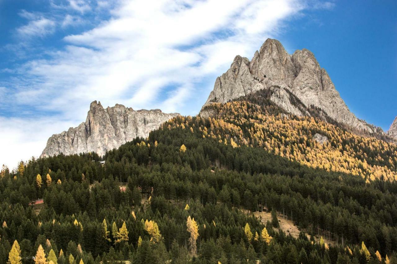 Wellness Fassa Apartamento Pozza di Fassa Exterior foto